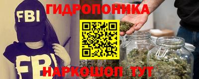 стаф Лесосибирск