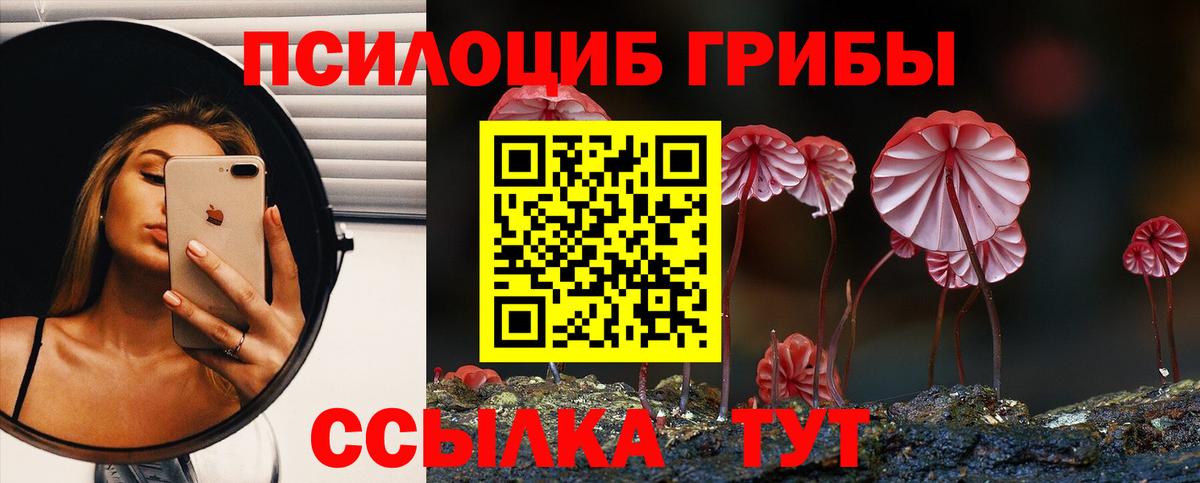 Галлюциногенные грибы Magic Shrooms  Вход с VPN  Галлюциногенные грибы Magic Shrooms  купить наркотики цена  Камышин 