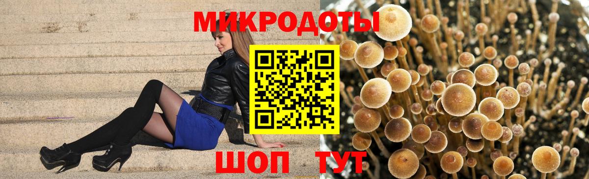 Галлюциногенные грибы мухоморы Камышин