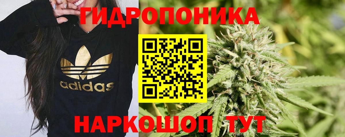 Бошки Шишки марихуана  Канабис White Widow  МАРИХУАНА AK-47  Бошки марихуана марихуана  Камышин  Вход с VPN 